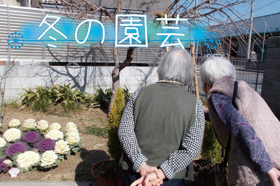 冬の園芸 ハートケアグループ通信ブログ