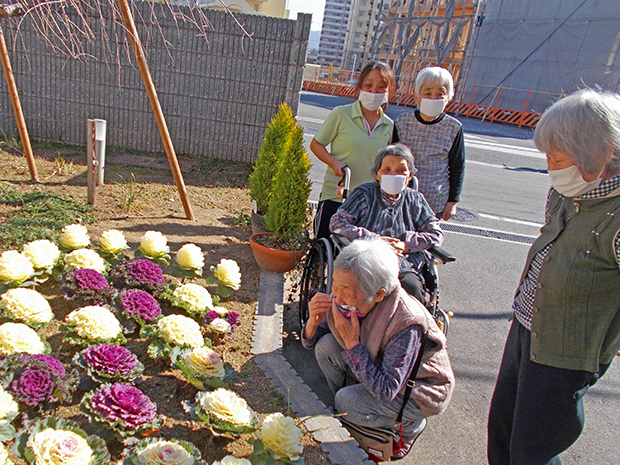 冬の園芸 ハートケアグループ通信ブログ