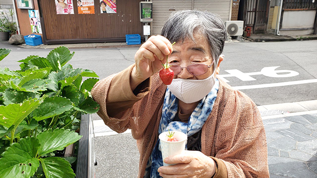 出張！イチゴ狩りイベント③