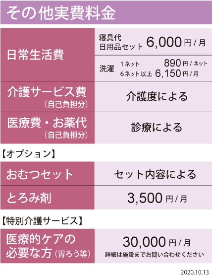 その他実費料金