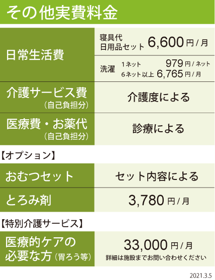 その他実費料金