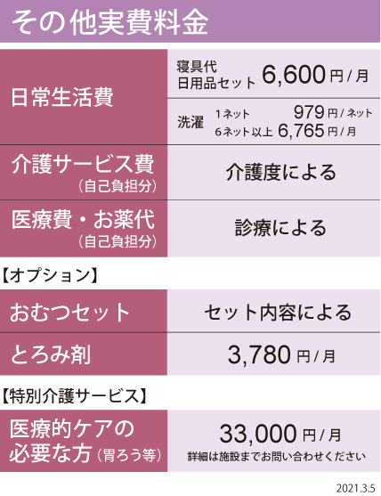 その他実費料金